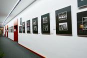 Part of the exhibition in the library