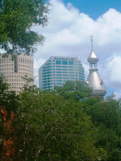 University of Tampa